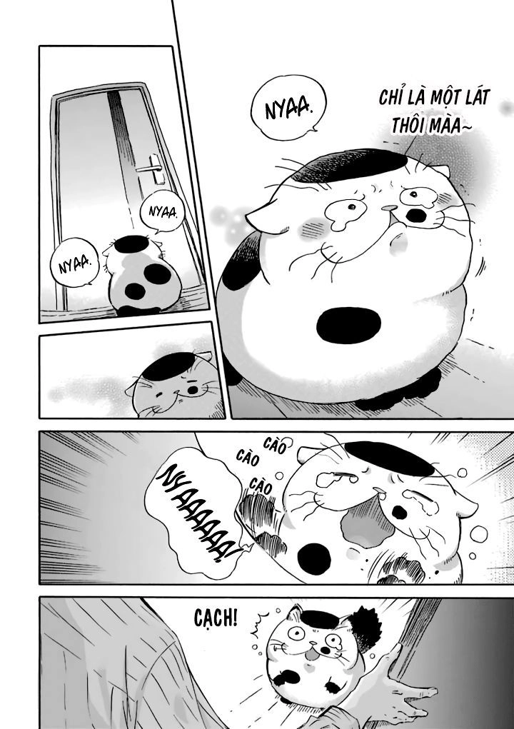 Ông Chú Và Con Mèo Mặt Bựa Chapter 15 - 3