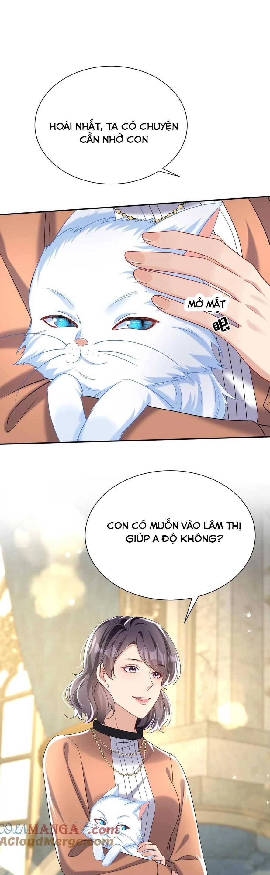 Tái Sinh Trở Lại : Chồng Cũ Khóc Lóc Cầu Xin Tái Hôn Chapter 155 - 14