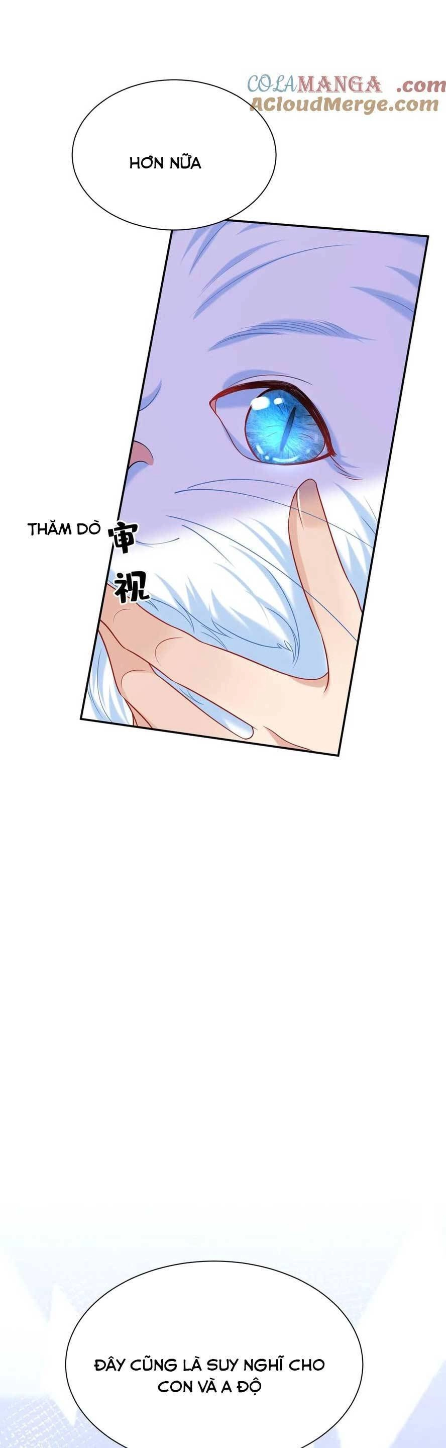 Tái Sinh Trở Lại : Chồng Cũ Khóc Lóc Cầu Xin Tái Hôn Chapter 155 - 16