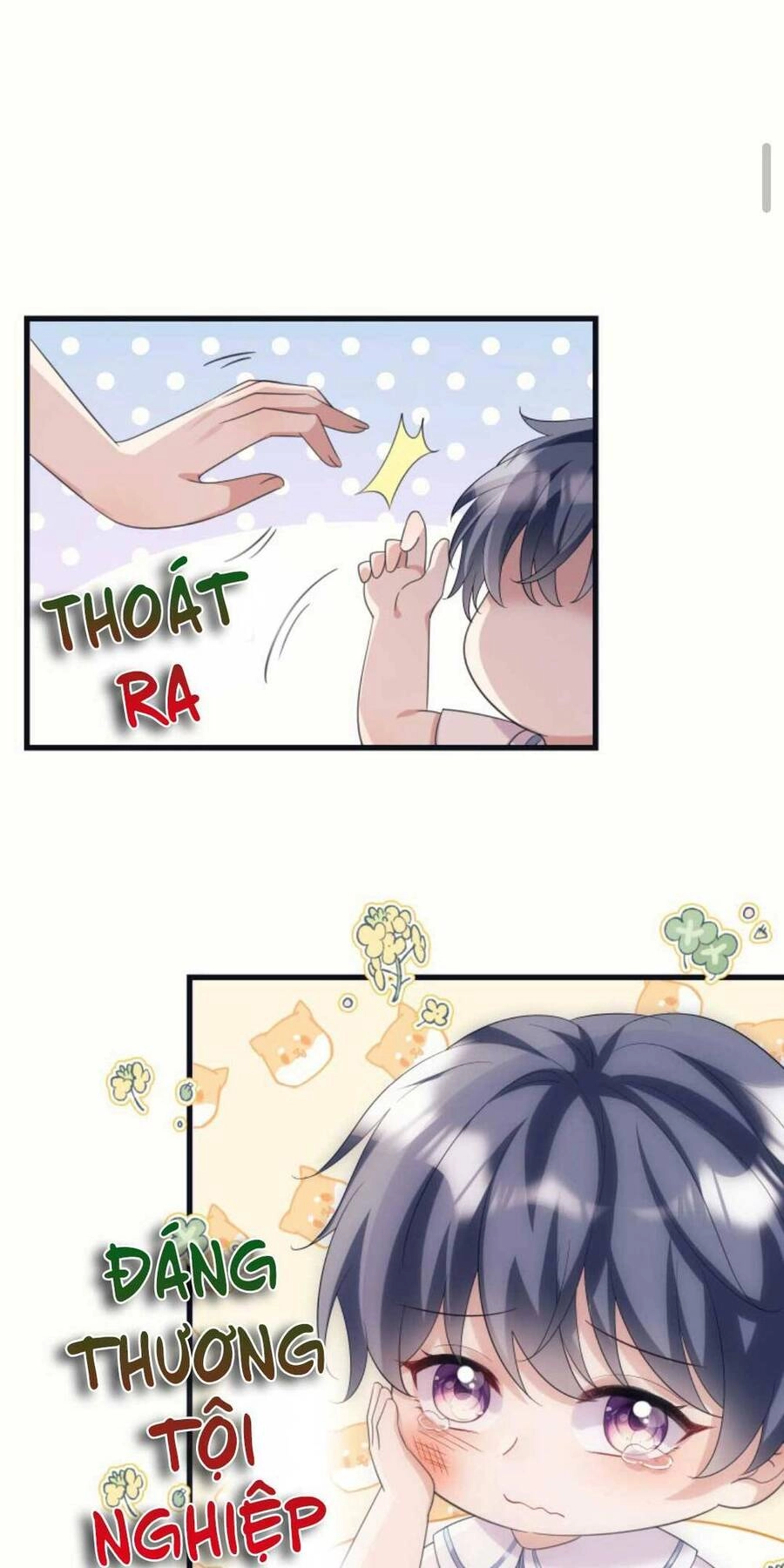 Tái Sinh Trở Lại : Chồng Cũ Khóc Lóc Cầu Xin Tái Hôn Chapter 11 - 3