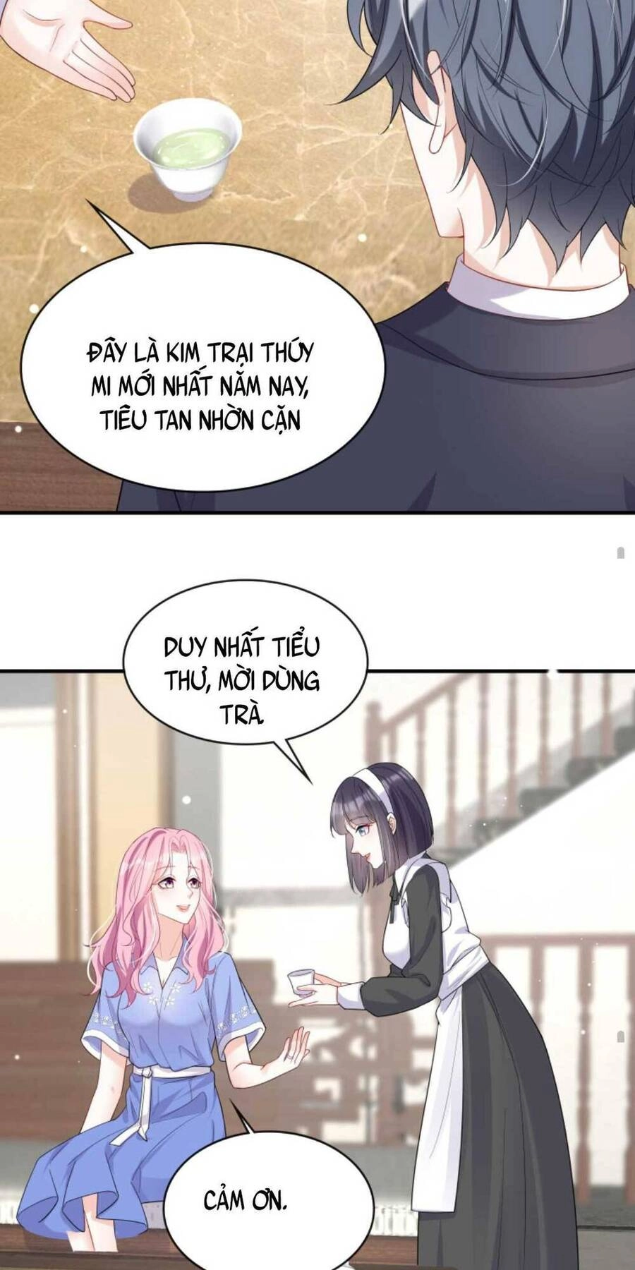 Tái Sinh Trở Lại : Chồng Cũ Khóc Lóc Cầu Xin Tái Hôn Chapter 22 - 17