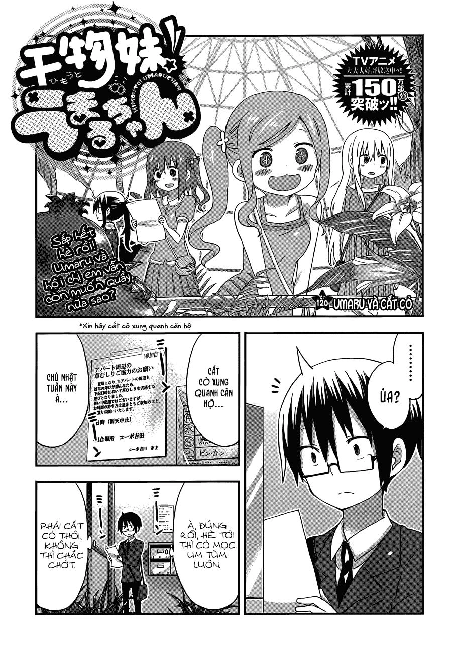 Himouto! Umaru-Chan Chapter 120 - 1