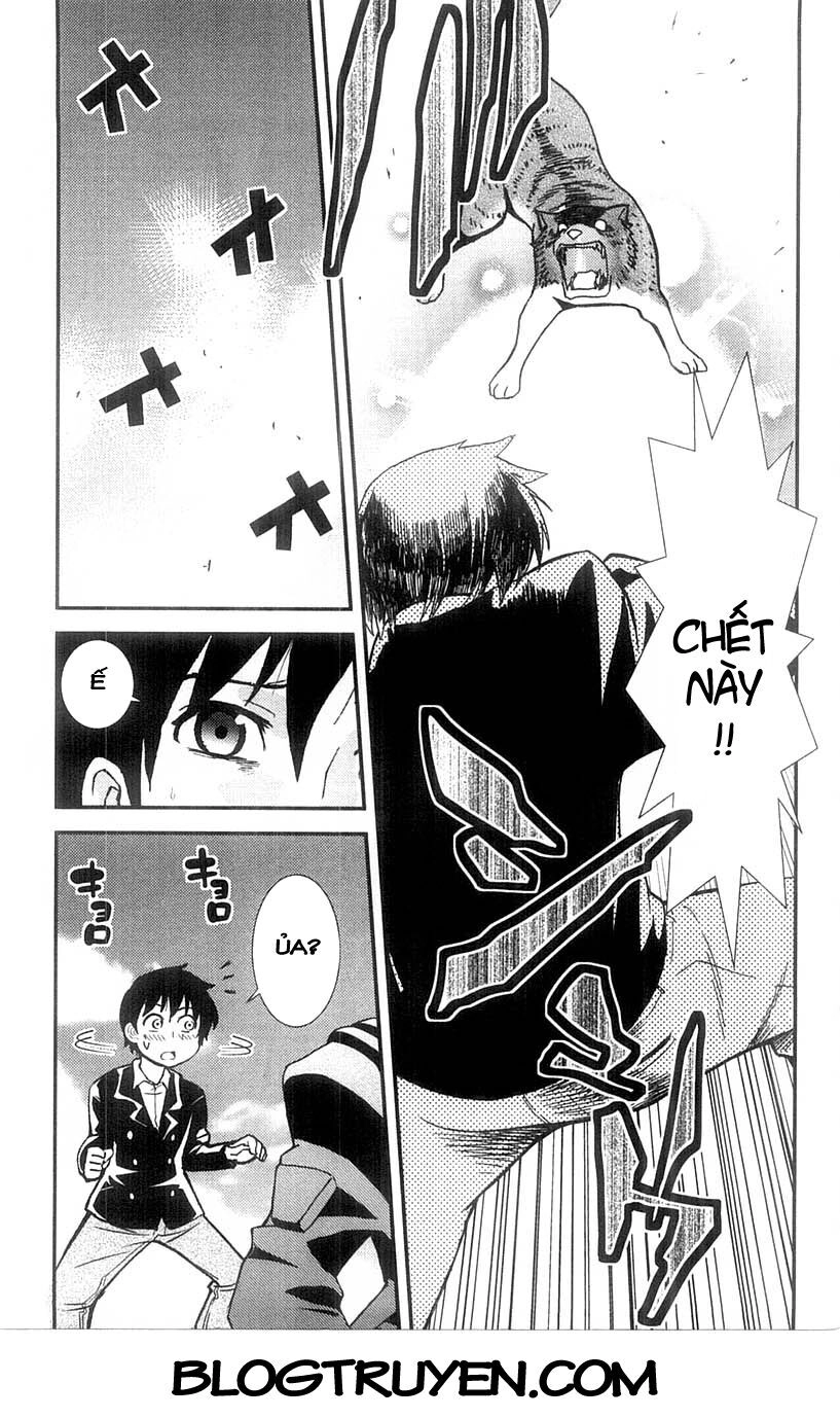 Mighty Heart Chapter 66 - 16