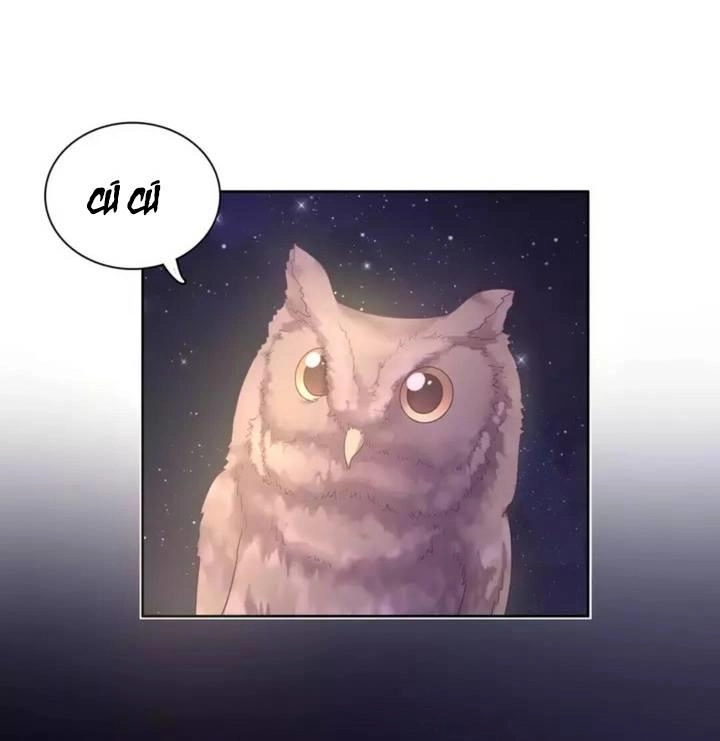 Vương Tử Thành Phố Và Công Chúa Amazon Chapter 10 - 7