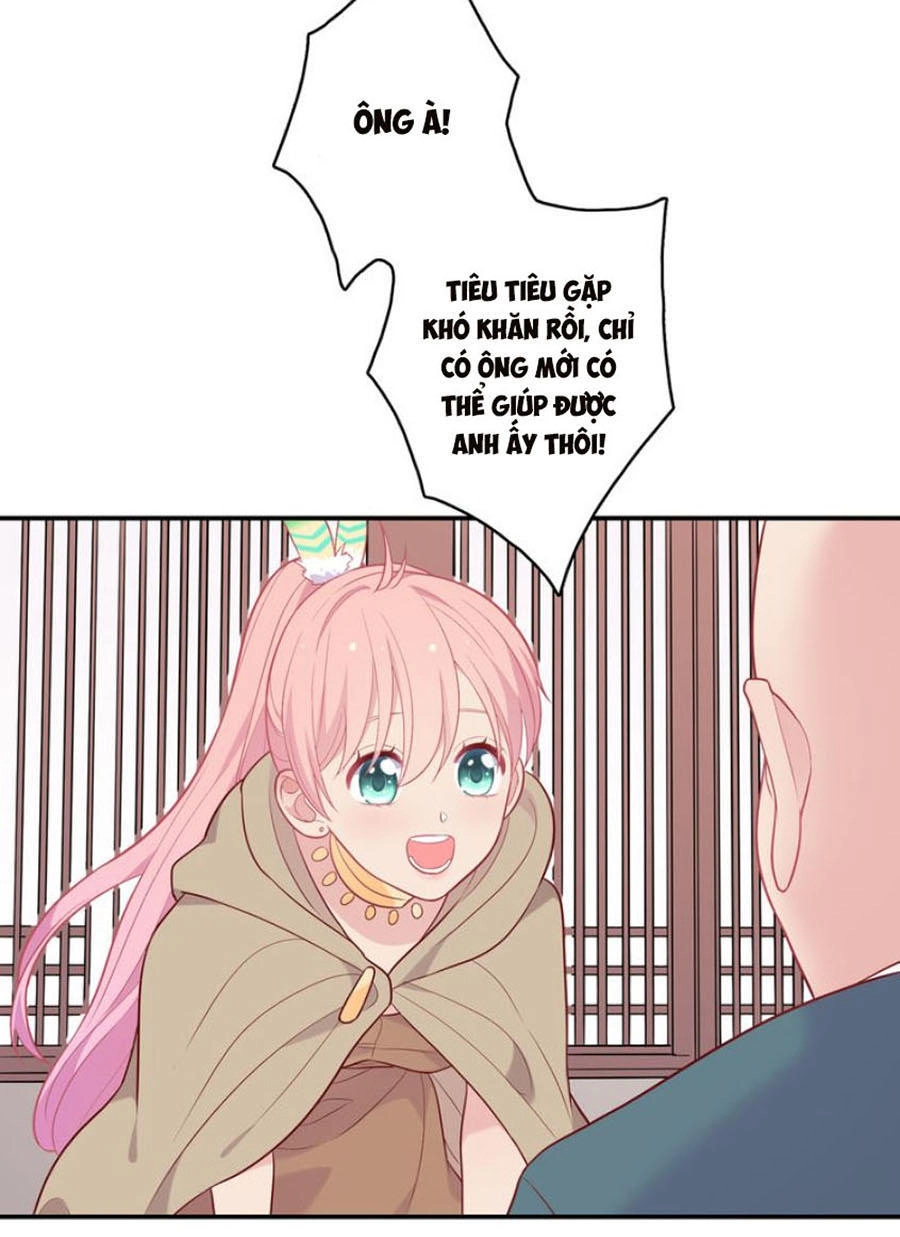 Vương Tử Thành Phố Và Công Chúa Amazon Chapter 28 - 12