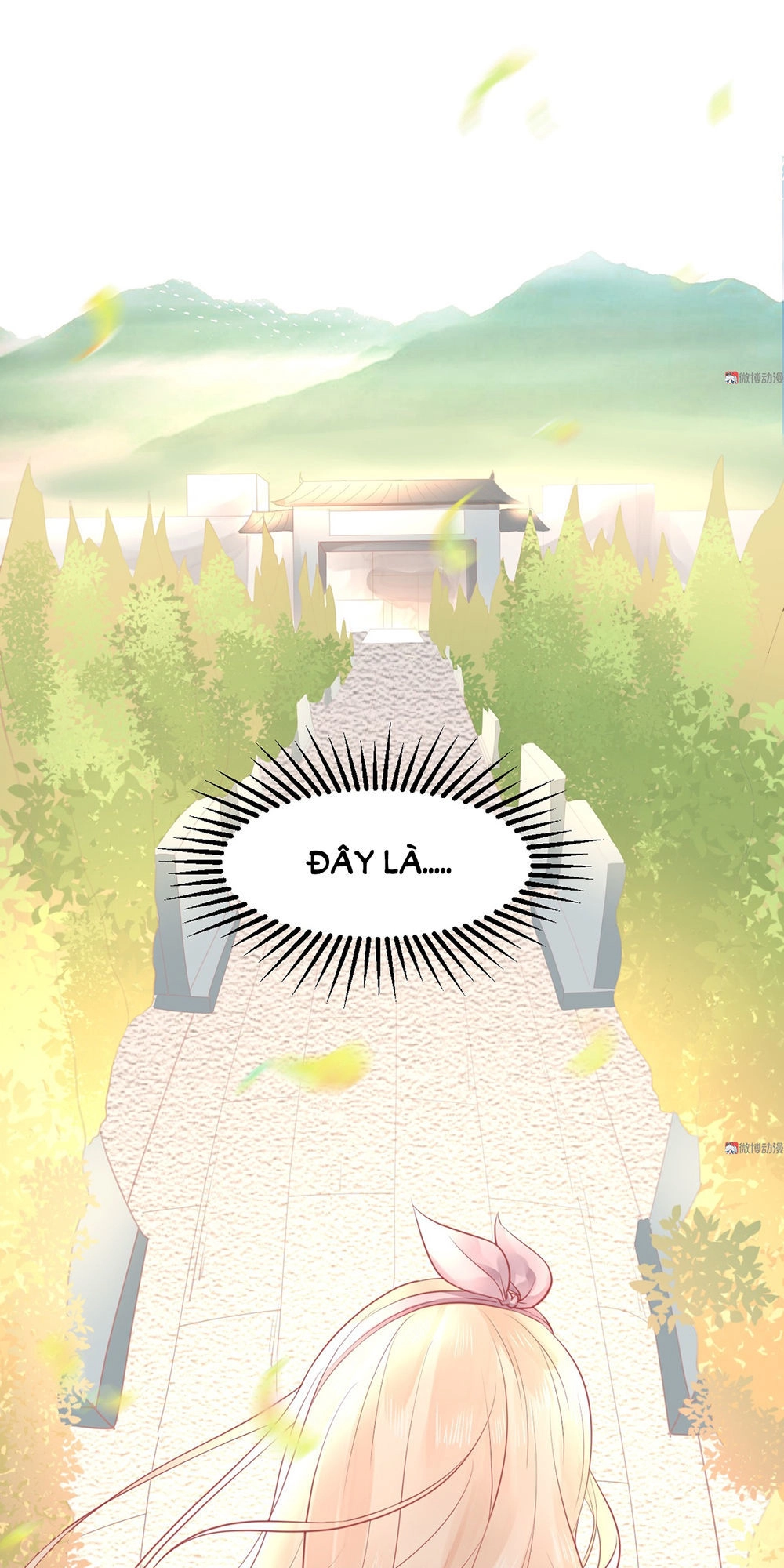 Bọn Họ Đều Muốn Gả Cho Tôi Làm Sao Đây? Chapter 5 - 11