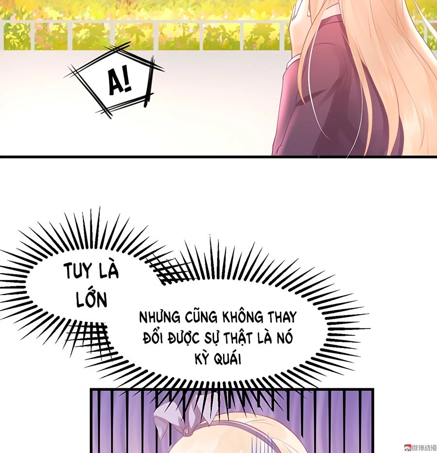 Bọn Họ Đều Muốn Gả Cho Tôi Làm Sao Đây? Chapter 6 - 45