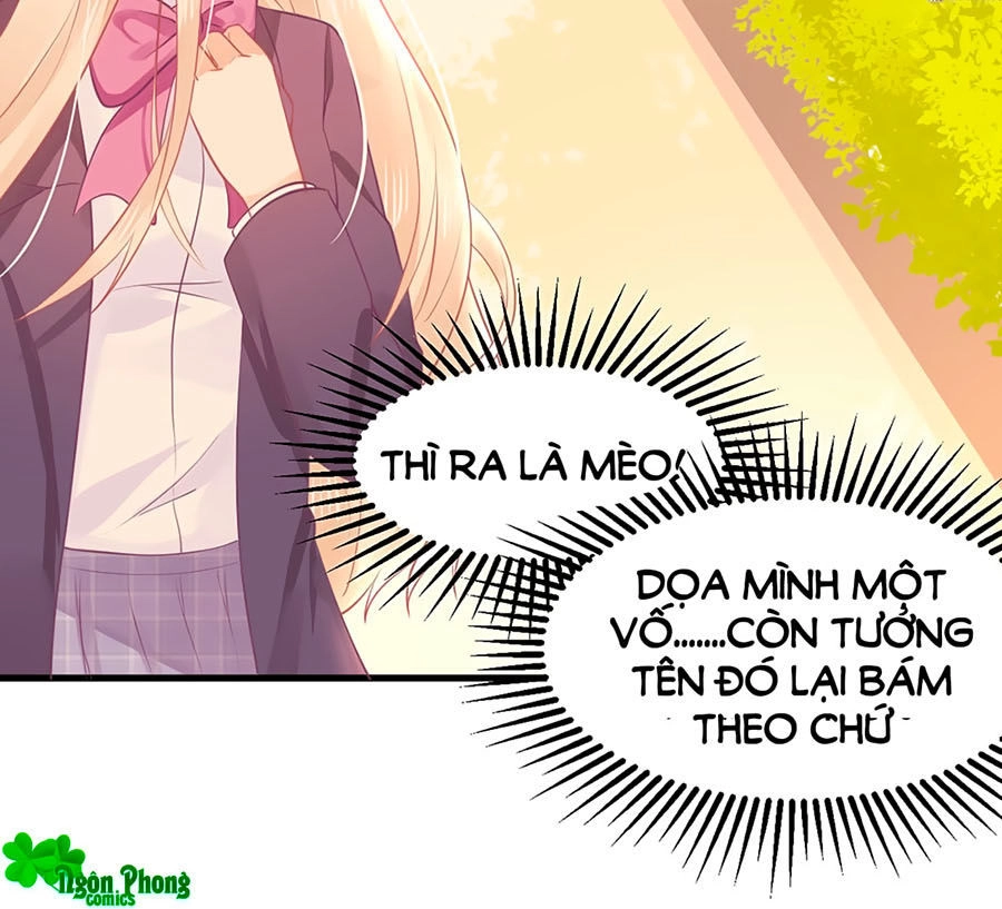 Bọn Họ Đều Muốn Gả Cho Tôi Làm Sao Đây? Chapter 9 - 8