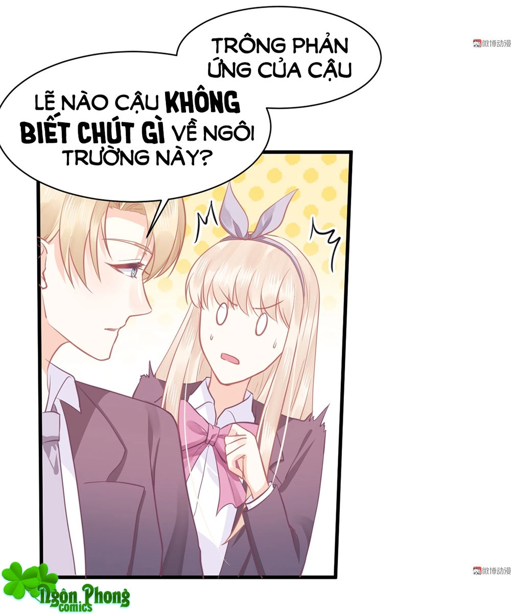 Bọn Họ Đều Muốn Gả Cho Tôi Làm Sao Đây? Chapter 17 - 22