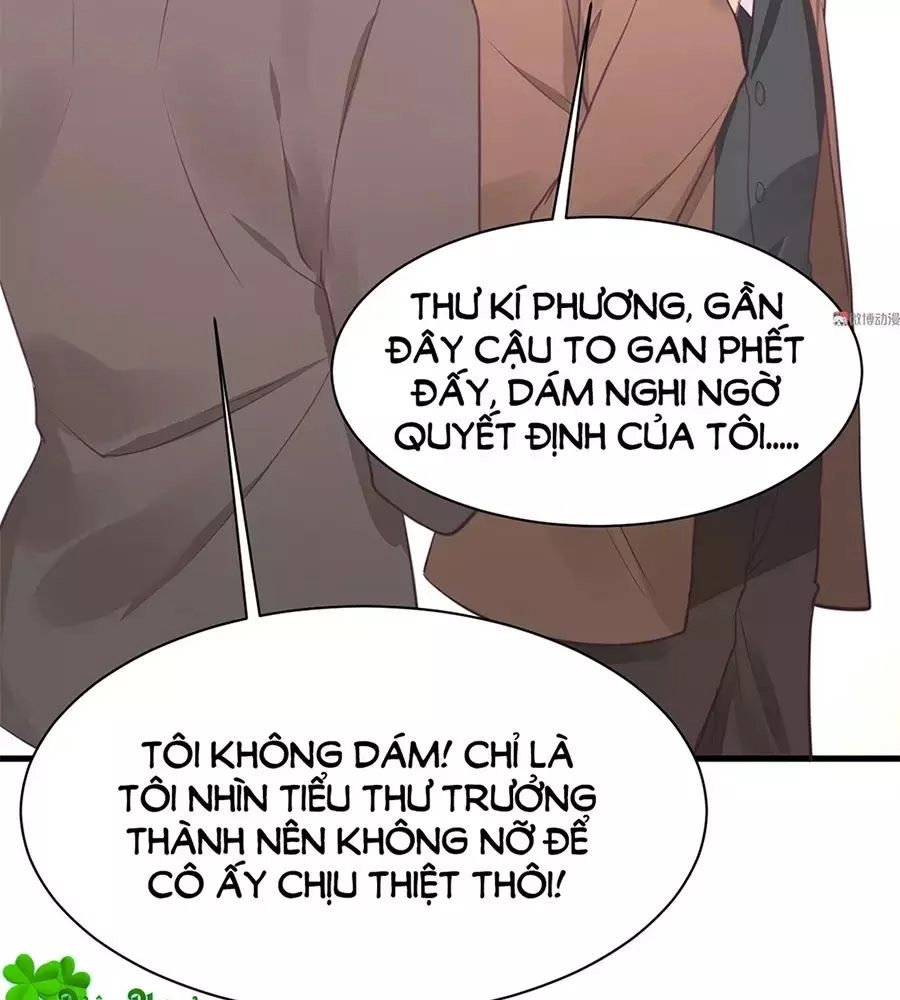 Bọn Họ Đều Muốn Gả Cho Tôi Làm Sao Đây? Chapter 19 - 23