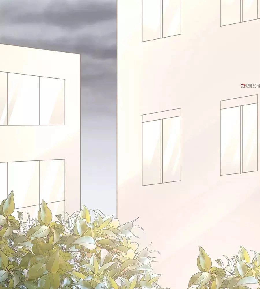 Bọn Họ Đều Muốn Gả Cho Tôi Làm Sao Đây? Chapter 19 - 60