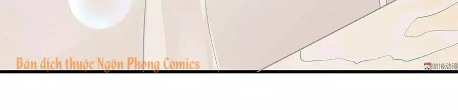 Bọn Họ Đều Muốn Gả Cho Tôi Làm Sao Đây? Chapter 20 - 8