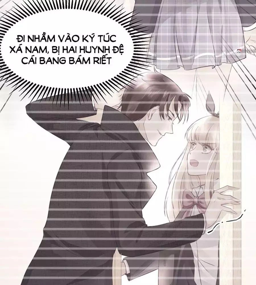 Bọn Họ Đều Muốn Gả Cho Tôi Làm Sao Đây? Chapter 20 - 13