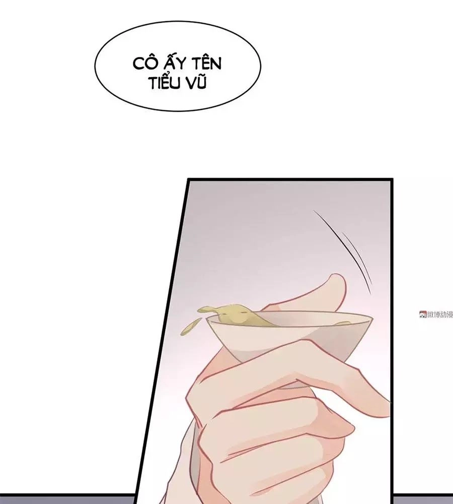 Bọn Họ Đều Muốn Gả Cho Tôi Làm Sao Đây? Chapter 20 - 70