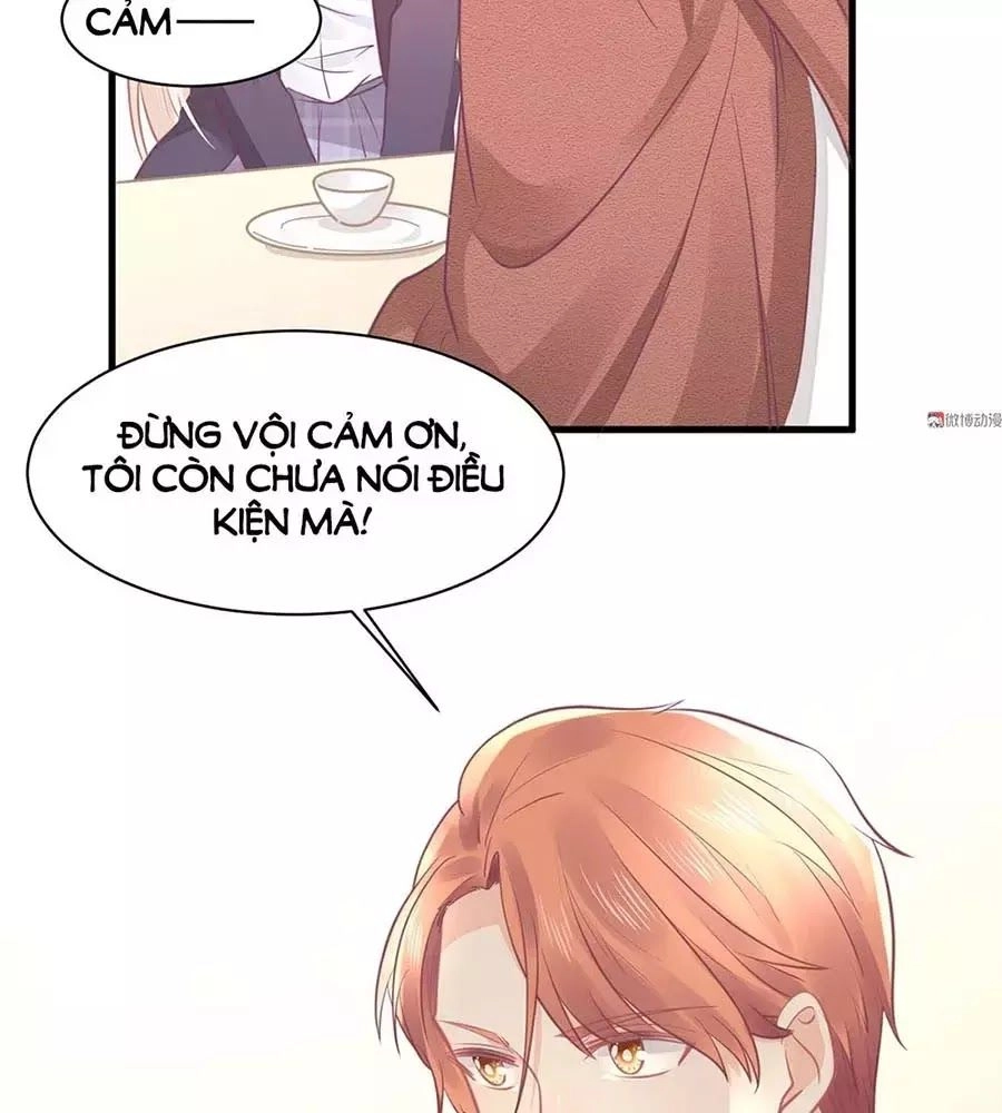 Bọn Họ Đều Muốn Gả Cho Tôi Làm Sao Đây? Chapter 20 - 81