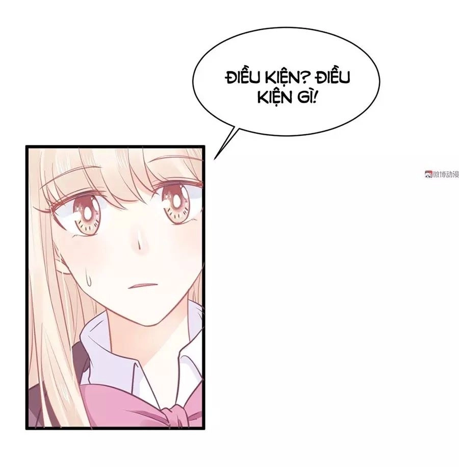 Bọn Họ Đều Muốn Gả Cho Tôi Làm Sao Đây? Chapter 20 - 84