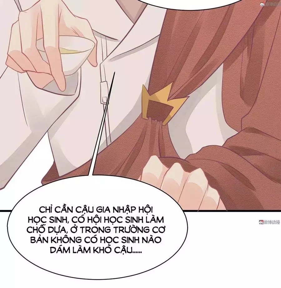 Bọn Họ Đều Muốn Gả Cho Tôi Làm Sao Đây? Chapter 21 - 33