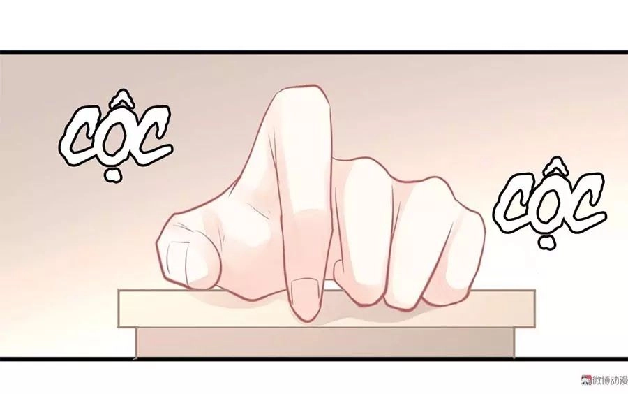 Bọn Họ Đều Muốn Gả Cho Tôi Làm Sao Đây? Chapter 22 - 17