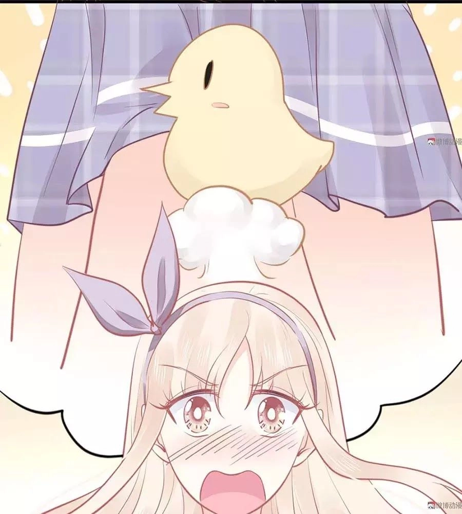 Bọn Họ Đều Muốn Gả Cho Tôi Làm Sao Đây? Chapter 22 - 83