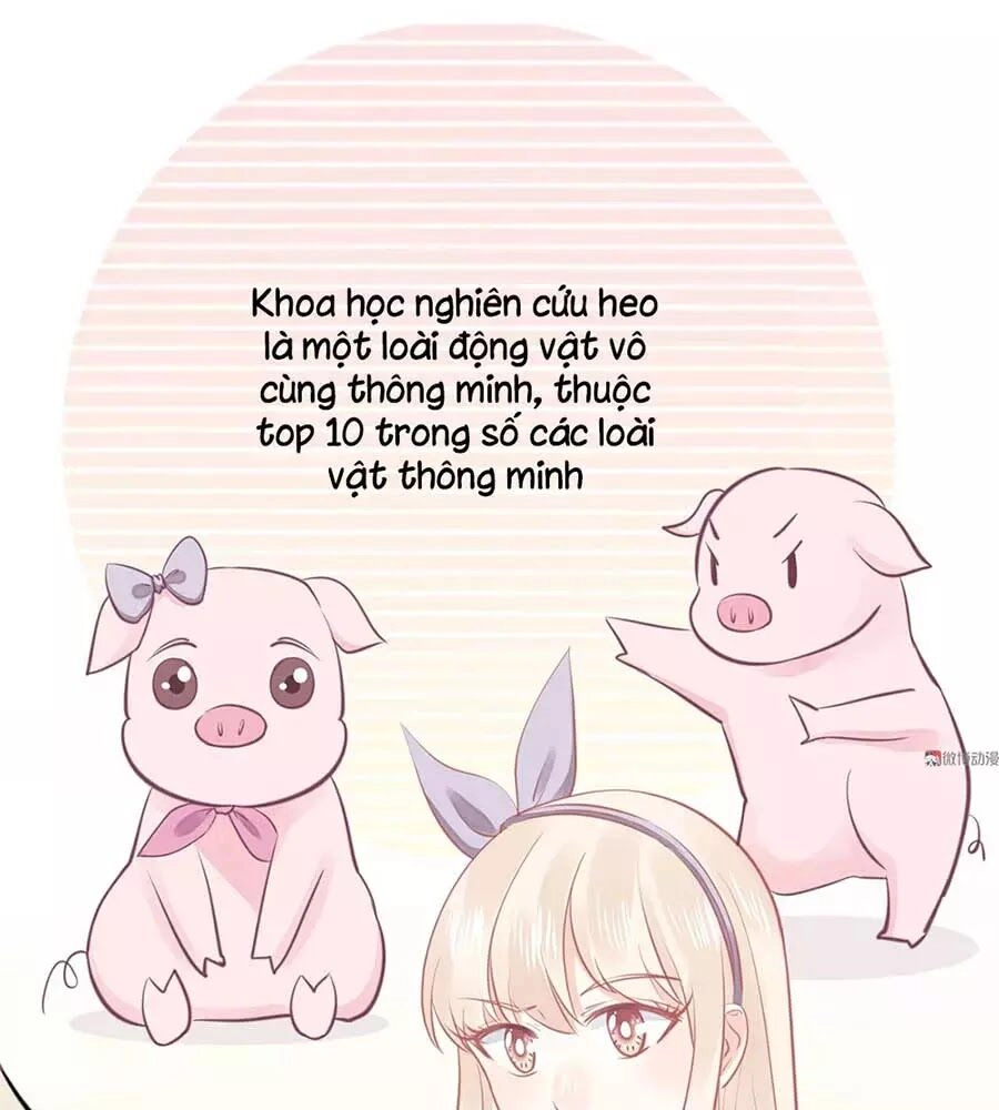 Bọn Họ Đều Muốn Gả Cho Tôi Làm Sao Đây? Chapter 23 - 26