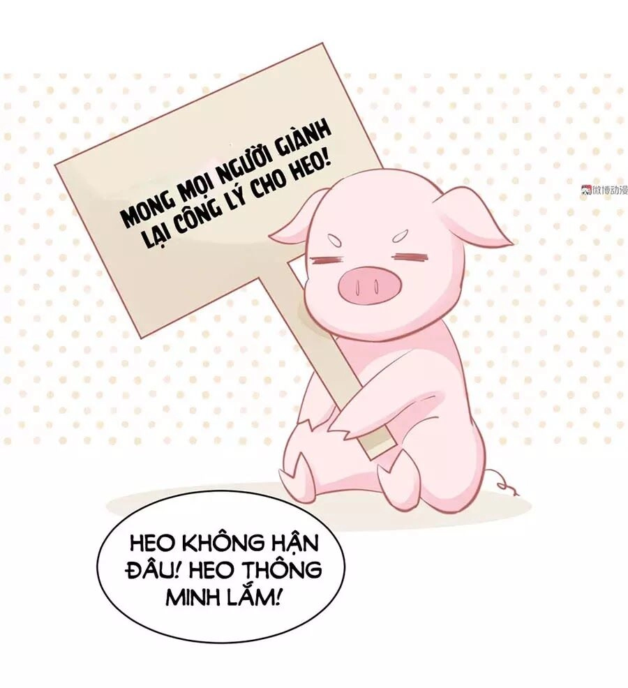 Bọn Họ Đều Muốn Gả Cho Tôi Làm Sao Đây? Chapter 23 - 45