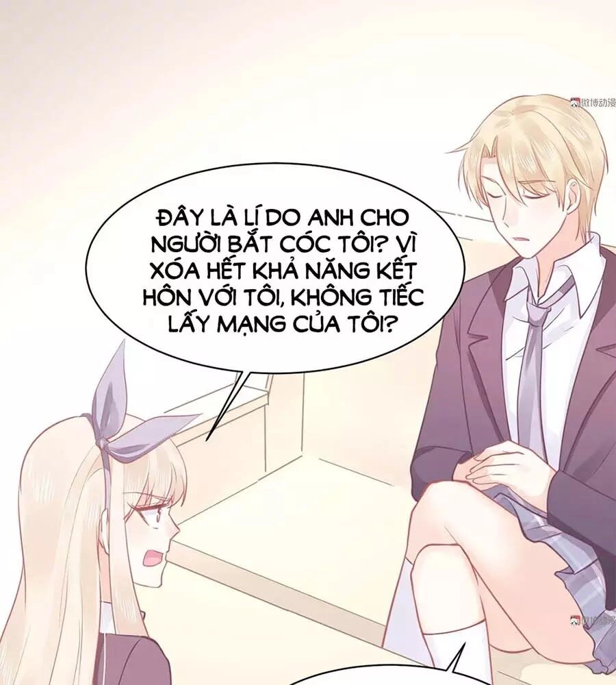 Bọn Họ Đều Muốn Gả Cho Tôi Làm Sao Đây? Chapter 23 - 49