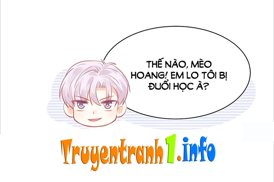 Bọn Họ Đều Muốn Gả Cho Tôi Làm Sao Đây? Chapter 26 - 34