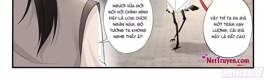 Độc Phi Tại Thượng Chapter 13 - 17