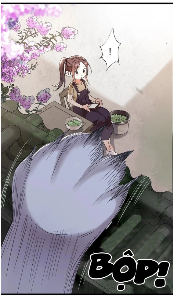 Lệnh Cấm Nghị Tộc 2 Ẩn Diện Trấn Chapter 43 - 22