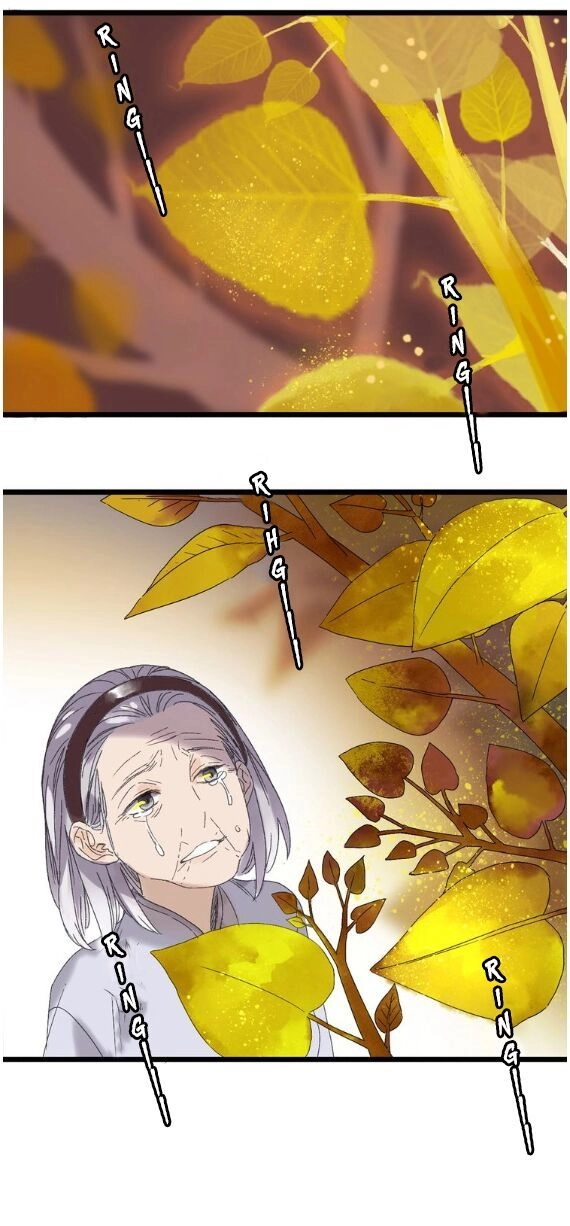 Lệnh Cấm Nghị Tộc 2 Ẩn Diện Trấn Chapter 48 - 11