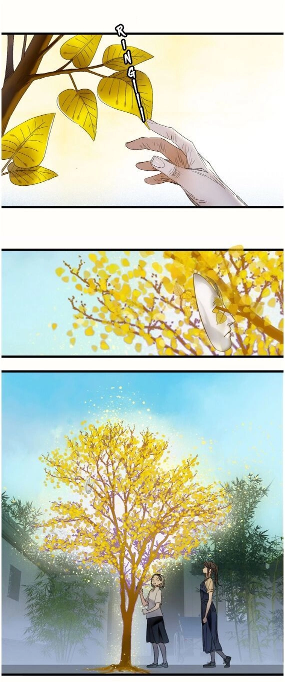 Lệnh Cấm Nghị Tộc 2 Ẩn Diện Trấn Chapter 48 - 12