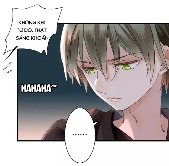 Lệnh Cấm Nghị Tộc 2 Ẩn Diện Trấn Chapter 56 - 12