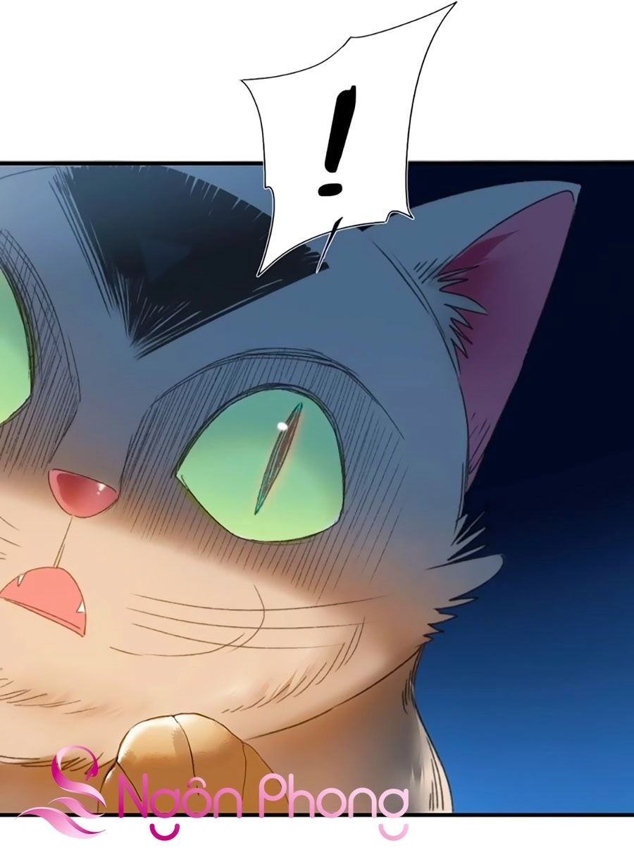 Lệnh Cấm Nghị Tộc 2 Ẩn Diện Trấn Chapter 68 - 8