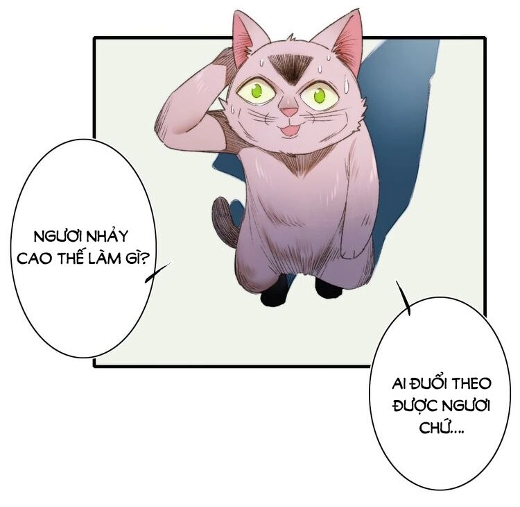 Lệnh Cấm Nghị Tộc 2 Ẩn Diện Trấn Chapter 69 - 18