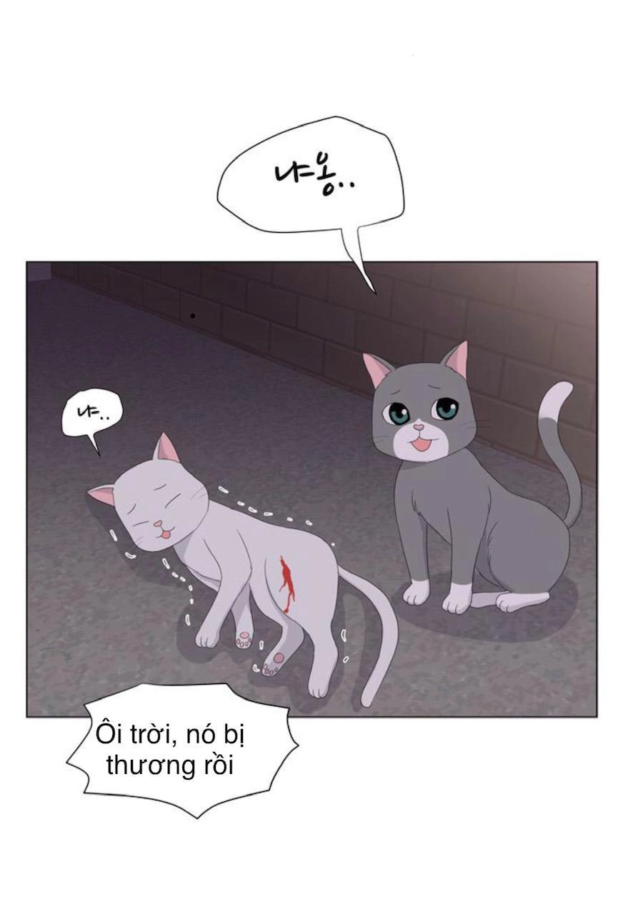 Idol Và Sếp Em Yêu Ai? Chapter 21 - 23