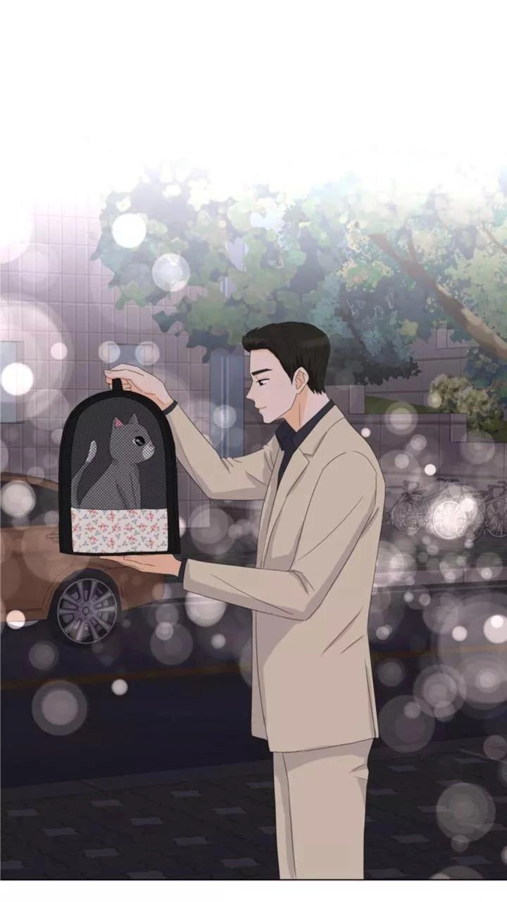 Idol Và Sếp Em Yêu Ai? Chapter 22 - 15