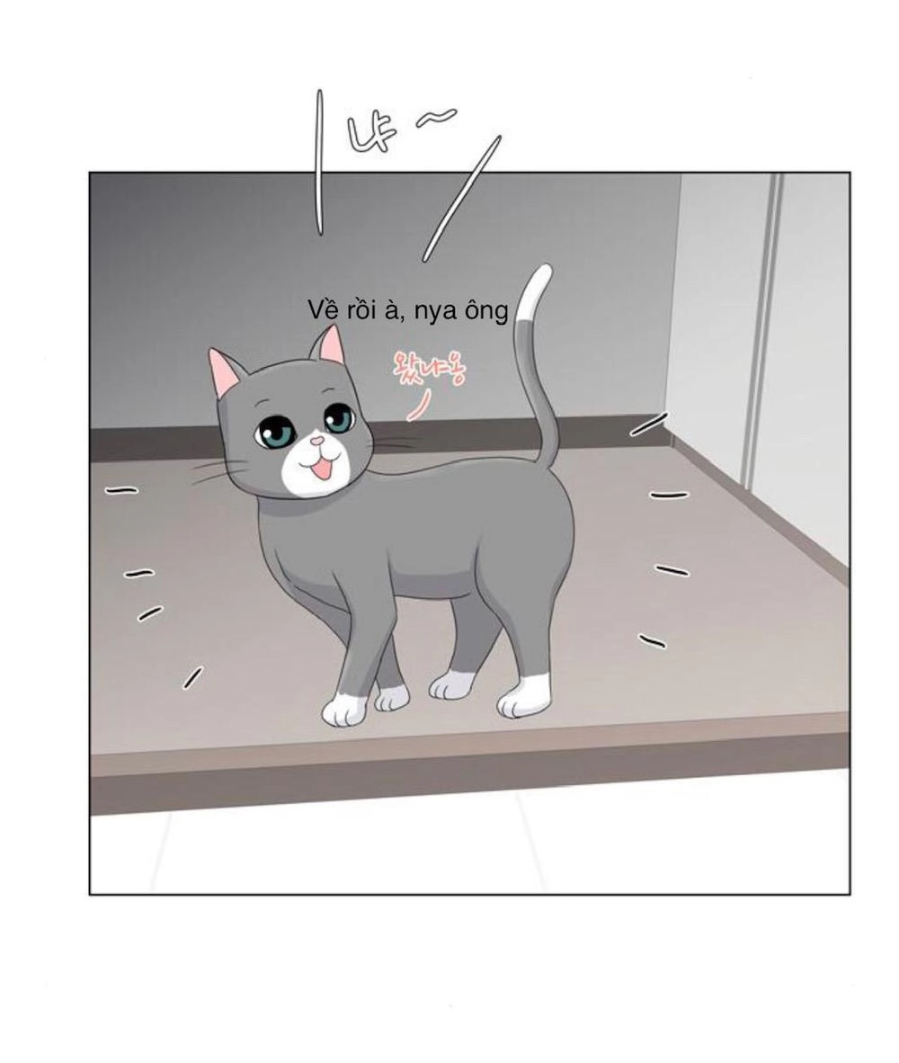 Idol Và Sếp Em Yêu Ai? Chapter 27 - 5