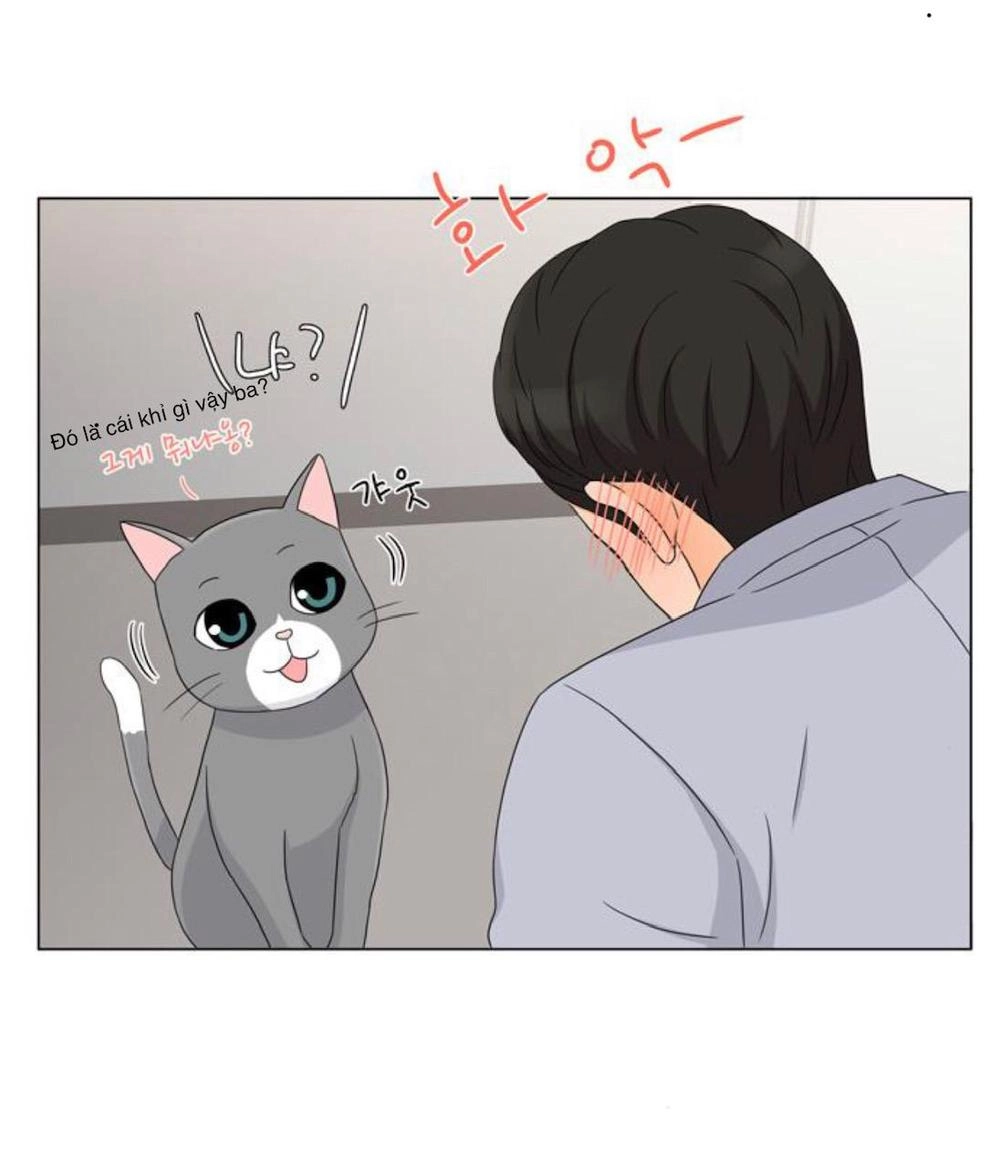 Idol Và Sếp Em Yêu Ai? Chapter 27 - 10