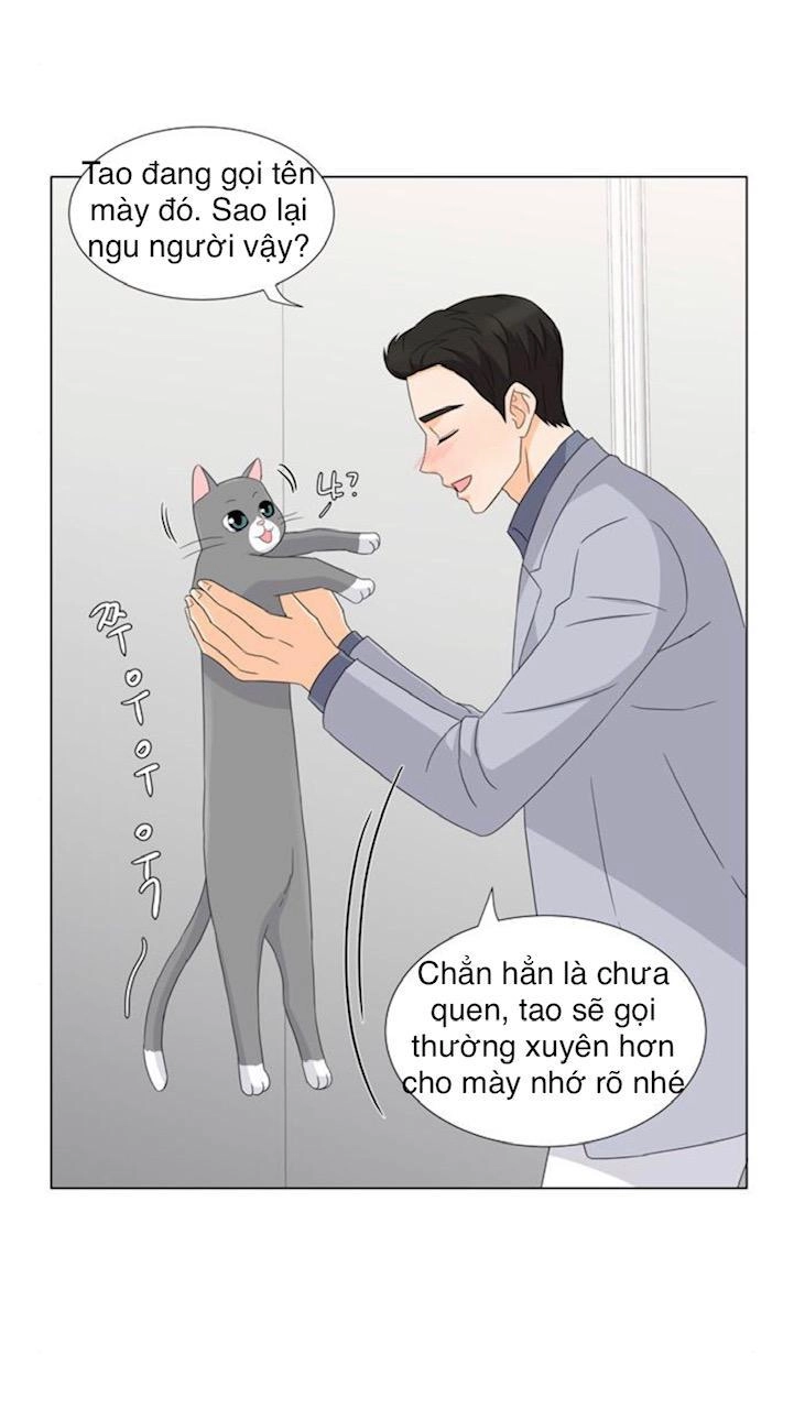 Idol Và Sếp Em Yêu Ai? Chapter 27 - 11