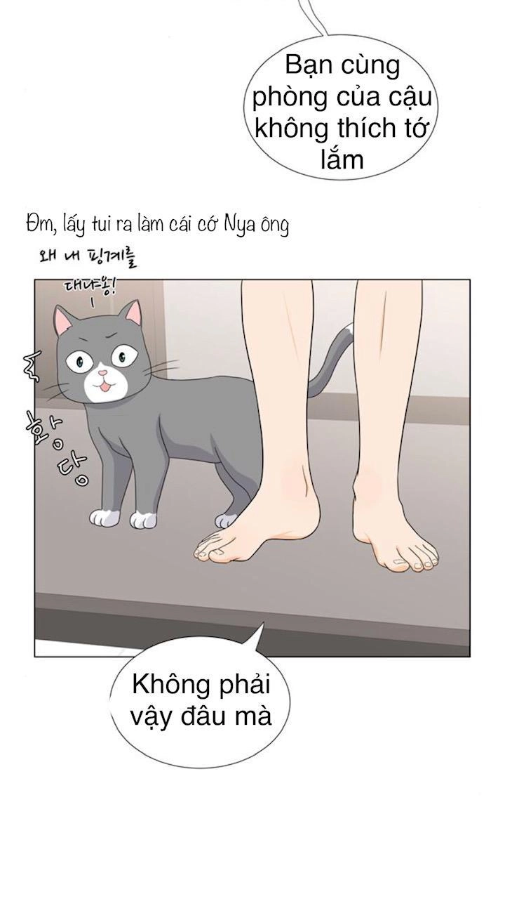 Idol Và Sếp Em Yêu Ai? Chapter 52 - 23