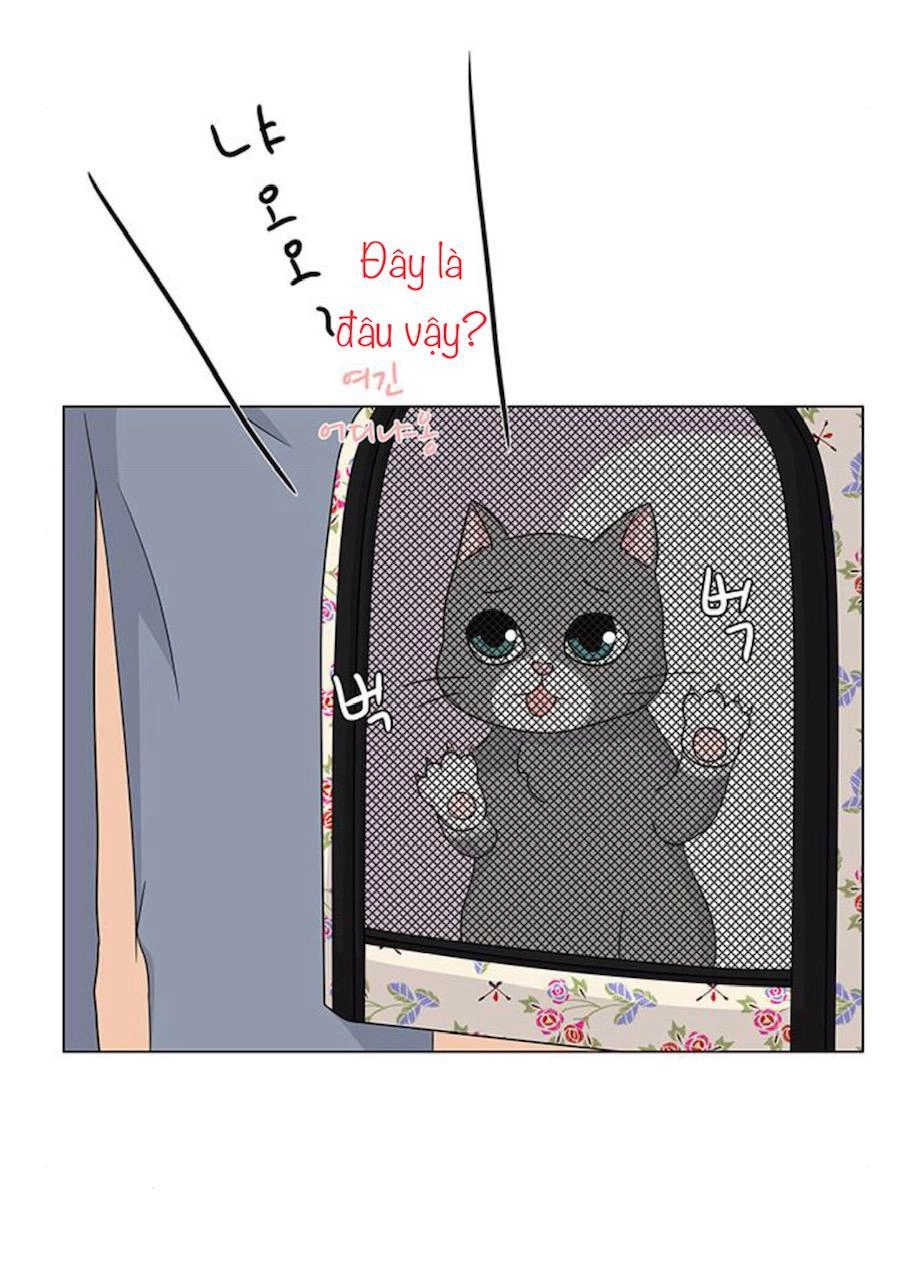 Idol Và Sếp Em Yêu Ai? Chapter 91 - 4