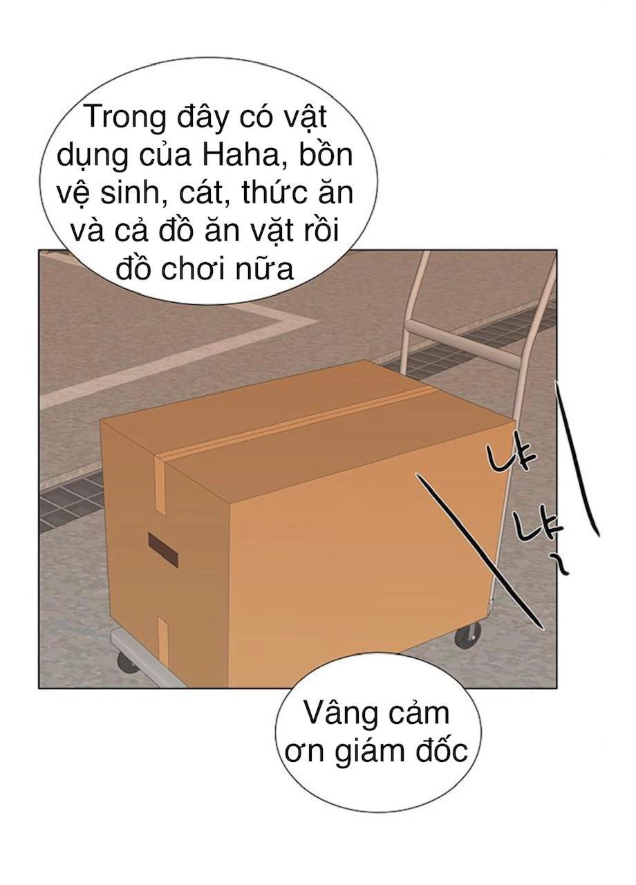 Idol Và Sếp Em Yêu Ai? Chapter 91 - 5