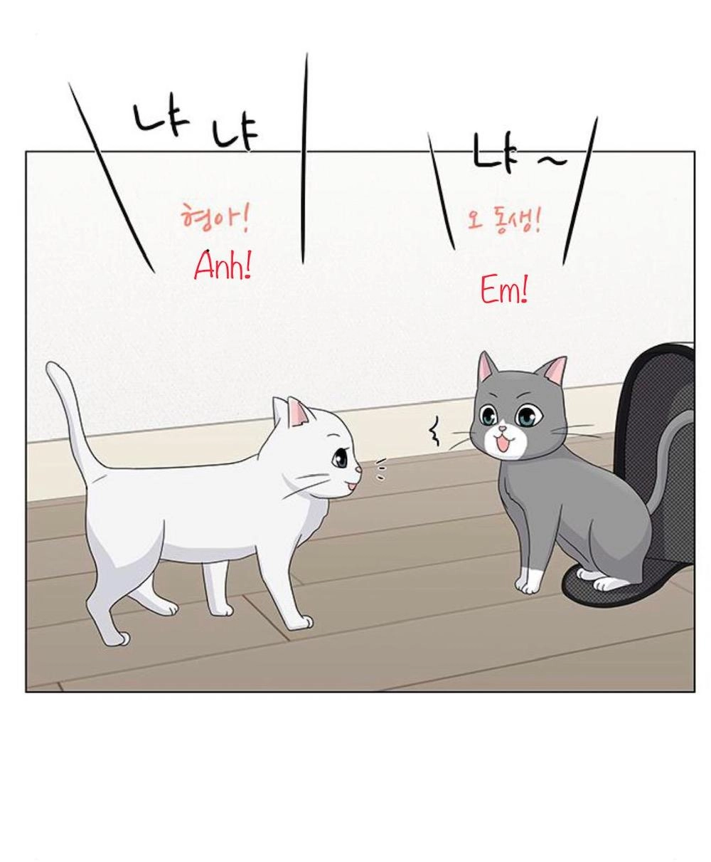 Idol Và Sếp Em Yêu Ai? Chapter 91 - 26