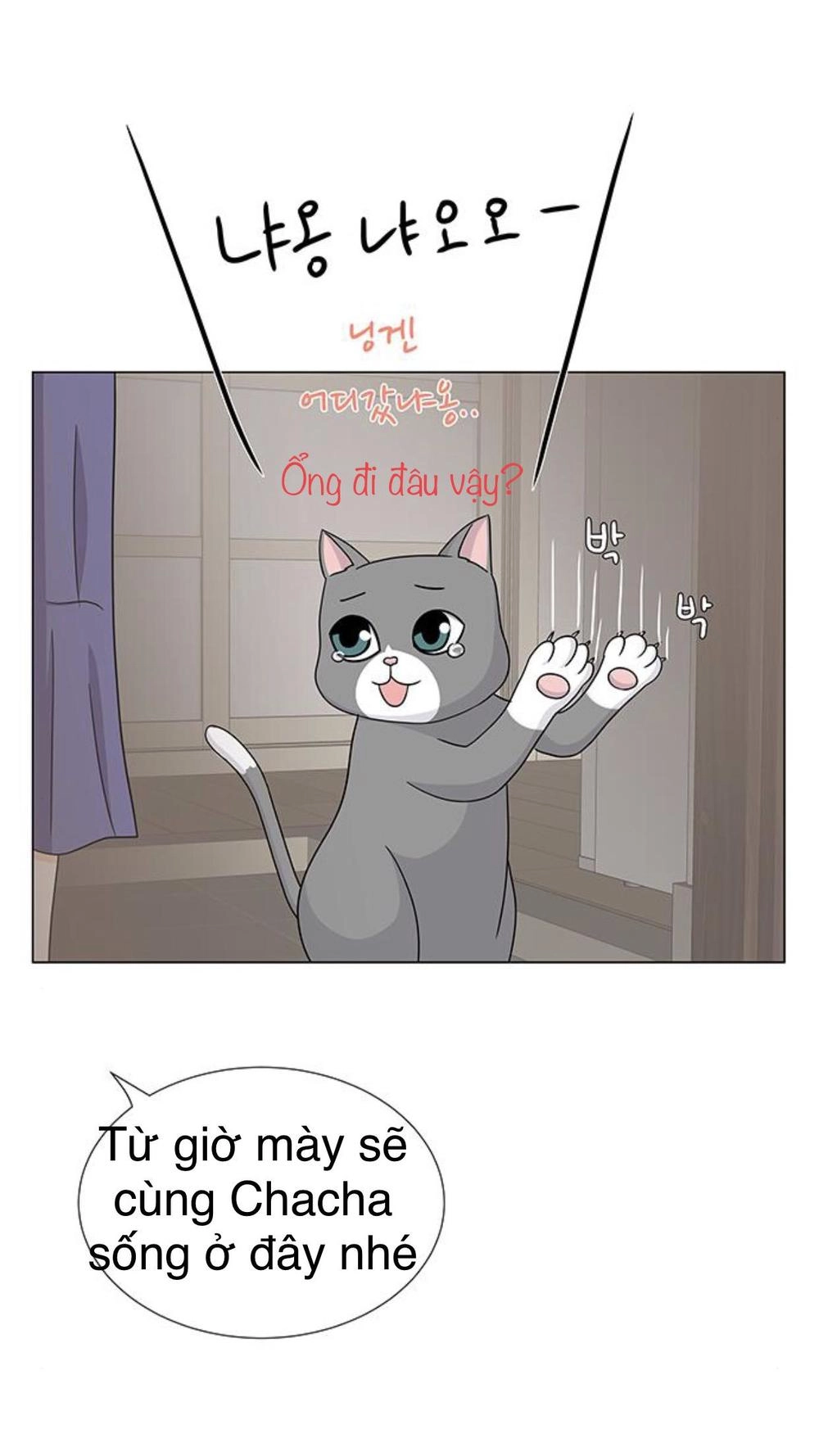 Idol Và Sếp Em Yêu Ai? Chapter 91 - 40