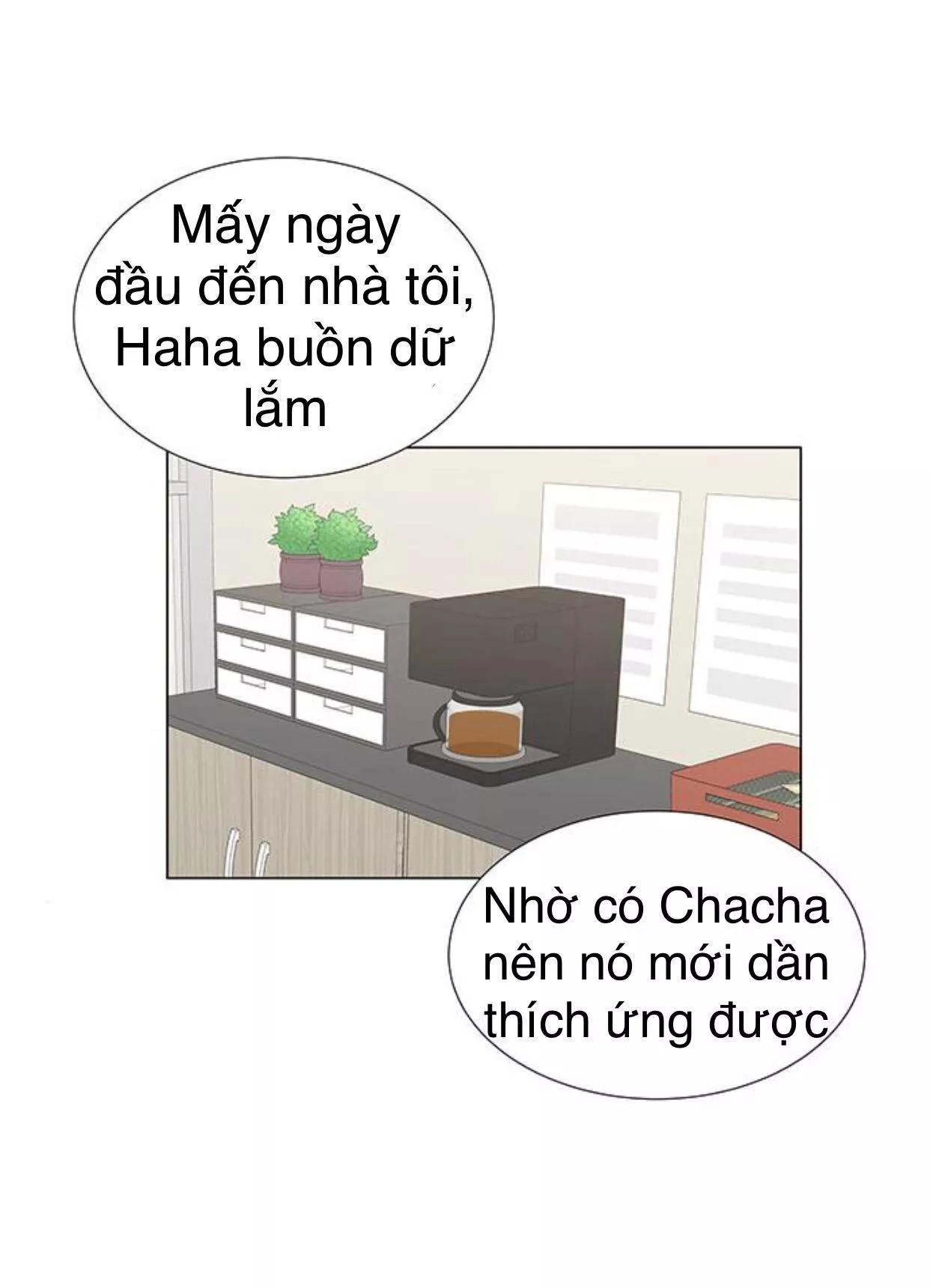 Idol Và Sếp Em Yêu Ai? Chapter 117 - 16