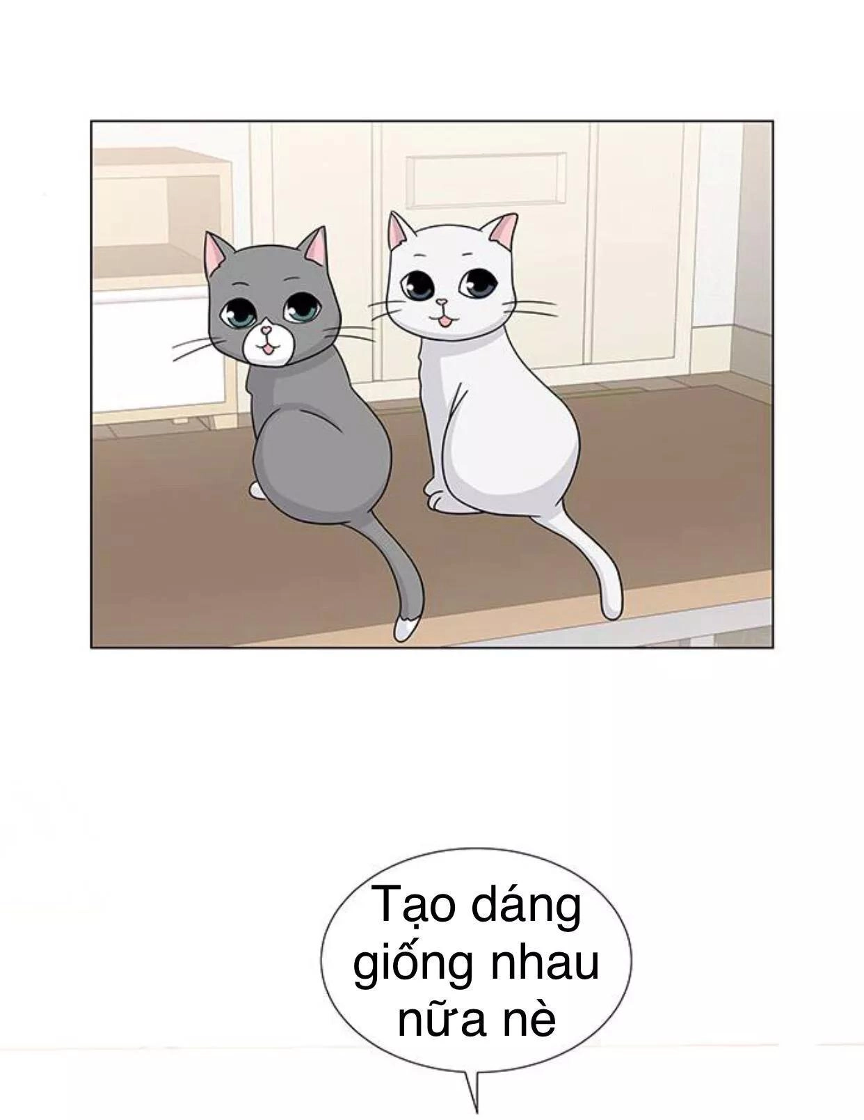 Idol Và Sếp Em Yêu Ai? Chapter 117 - 19