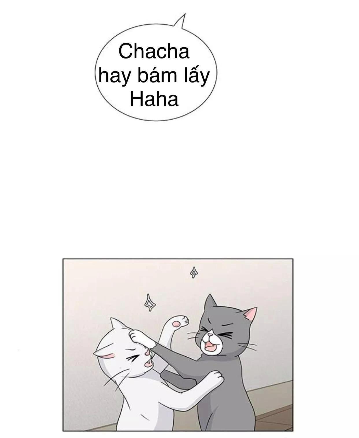 Idol Và Sếp Em Yêu Ai? Chapter 117 - 24