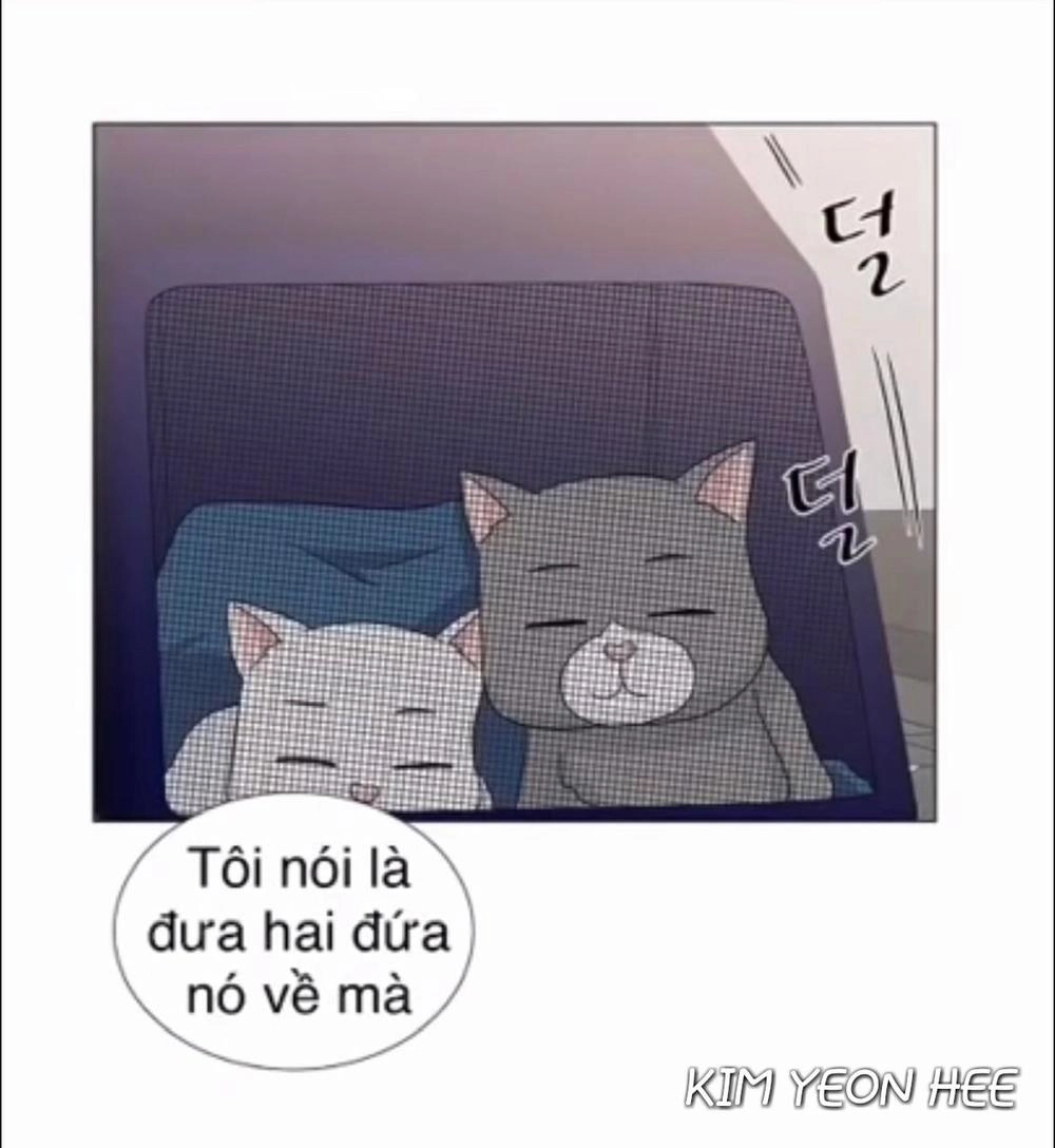 Idol Và Sếp Em Yêu Ai? Chapter 128 - 22