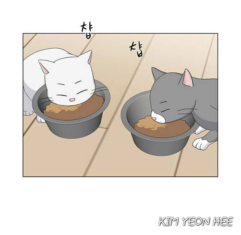 Idol Và Sếp Em Yêu Ai? Chapter 130 - 3