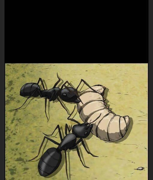 Phong Lôi Kiếm Chapter 11 - 31